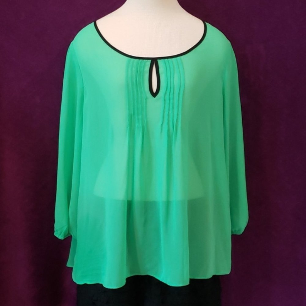 Massini Shear Flowy Chiffon Blouse